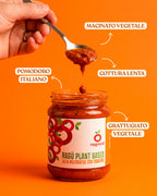 gondino ragu vegetale