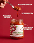 porcini ragu