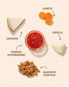 ragu vegetale bolognese gondino