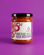 ragu vegetale con melanzane